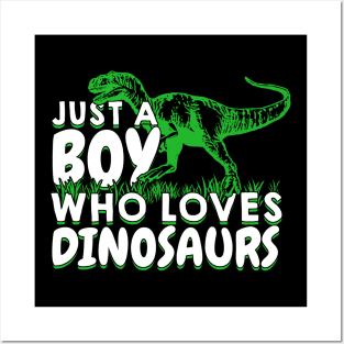 Just A Boy Who Loves Dinosaurs Posters and Art